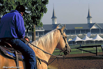 3743-0046 horse photo